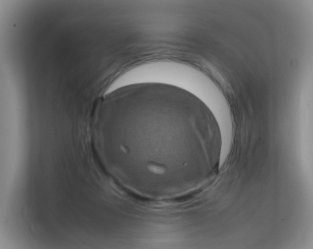 X0000111600313200907301452