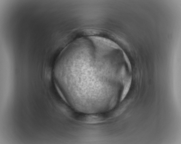 X0000111600315200907301452