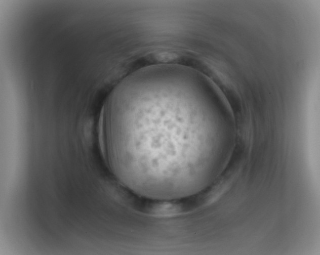 X0000111600319200907301452