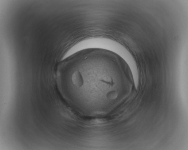 X0000111600320200907301452