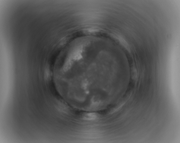 X0000111600324200907301452