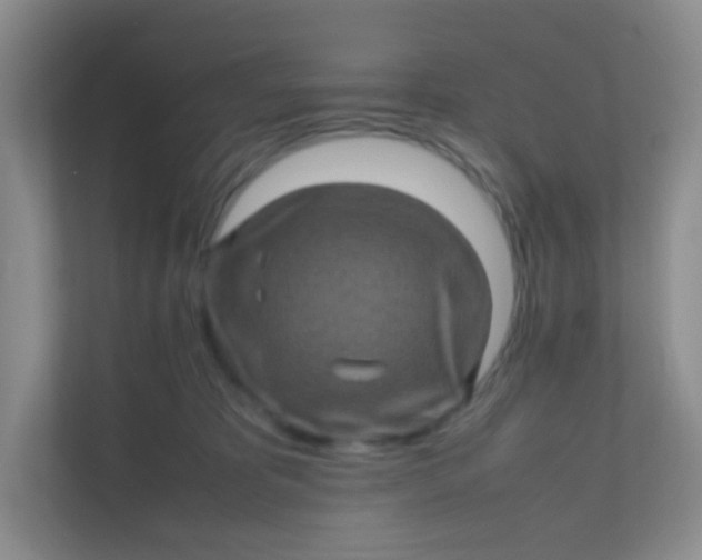 X0000111600325200907301452