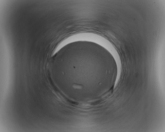 X0000111600327200907301452