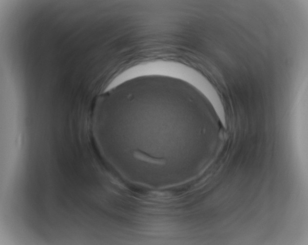 X0000111600328200907301452
