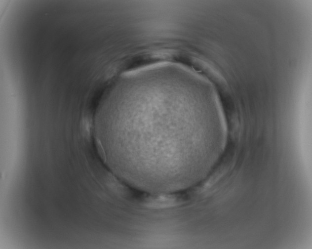 X0000111600329200907301452