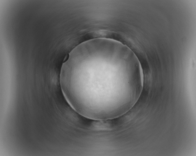 X0000111600331200907301452