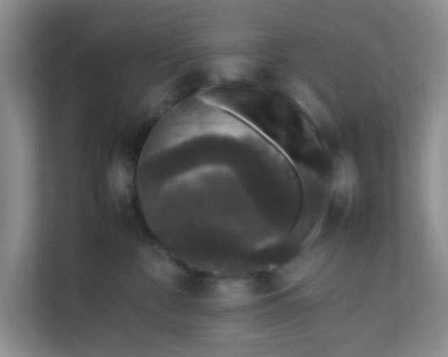 X0000111600332200907301452
