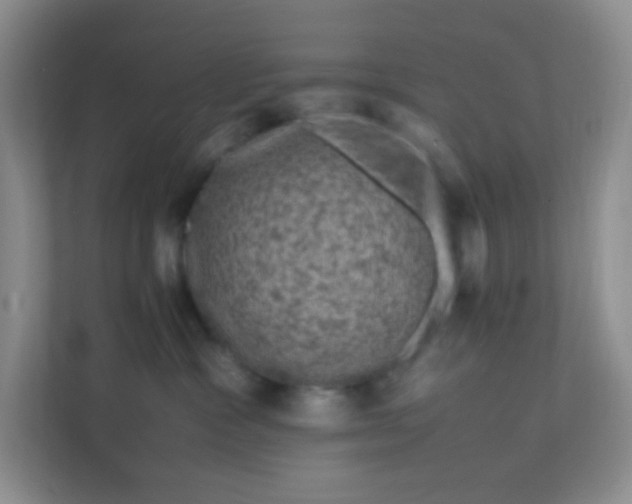 X0000111600333200907301452