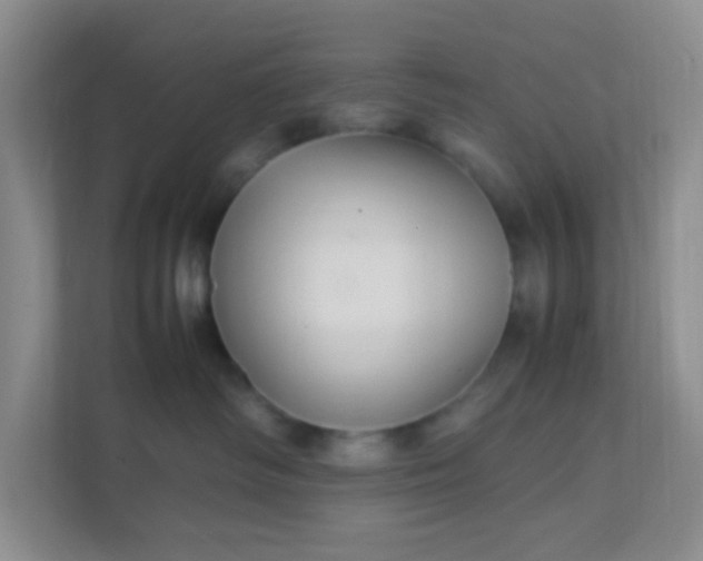 X0000111600334200907301451