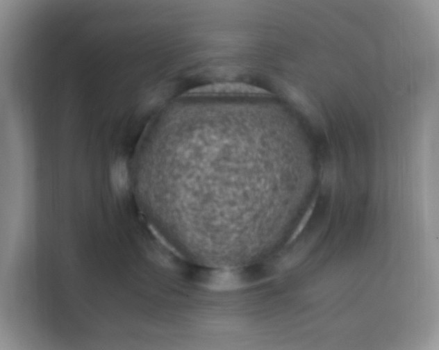 X0000111600335200907301451