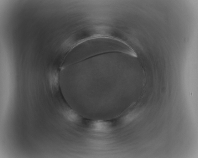 X0000111600336200907301451