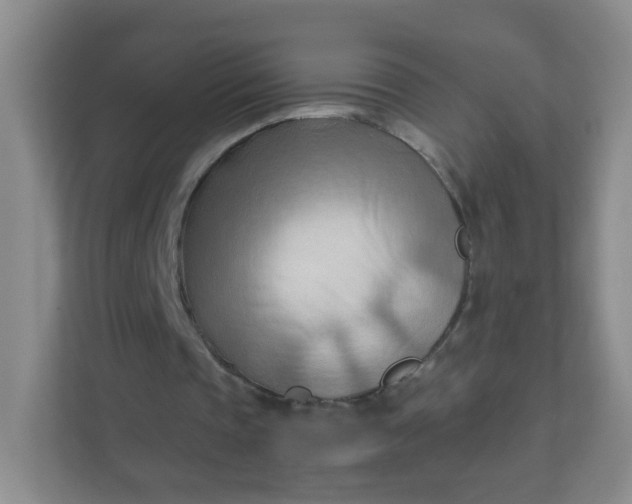 X0000111600337200907301451