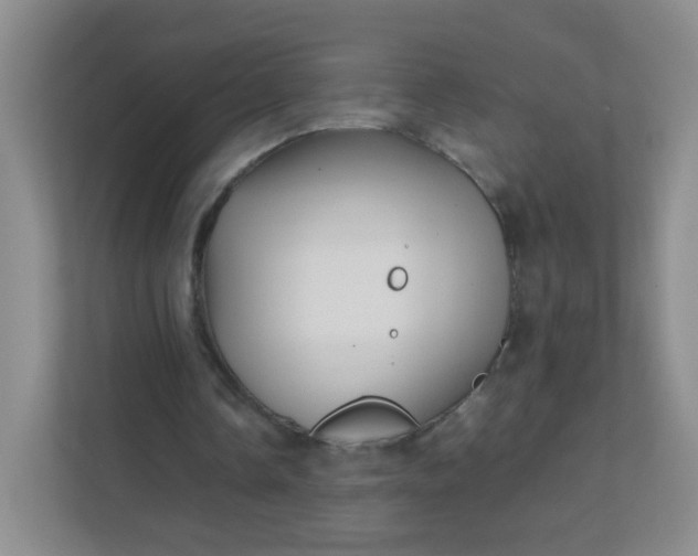 X0000111600338200907301451