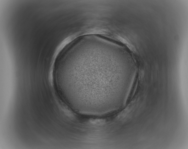 X0000111600340200907301451