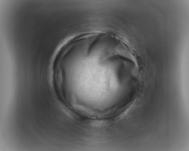 X0000111600342200907301451
