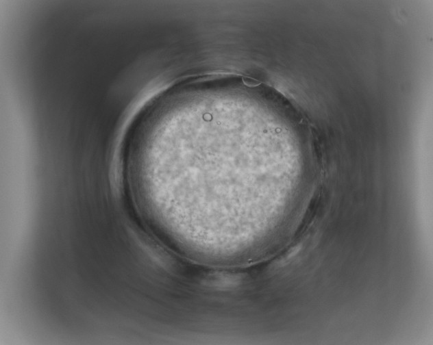 X0000111600343200907301451