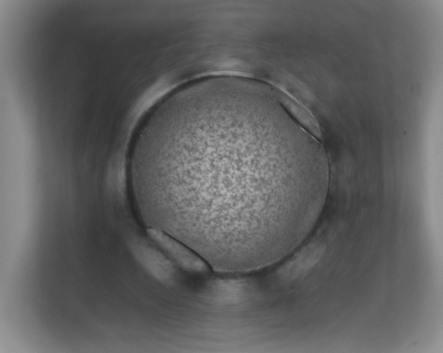 X0000111600344200907301451