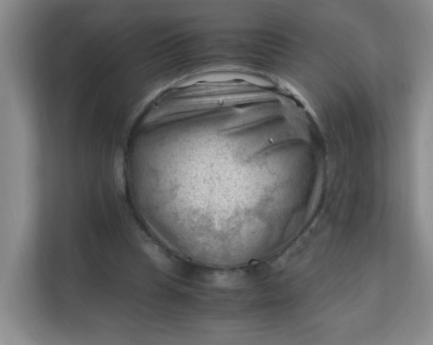 X0000111600345200907301451