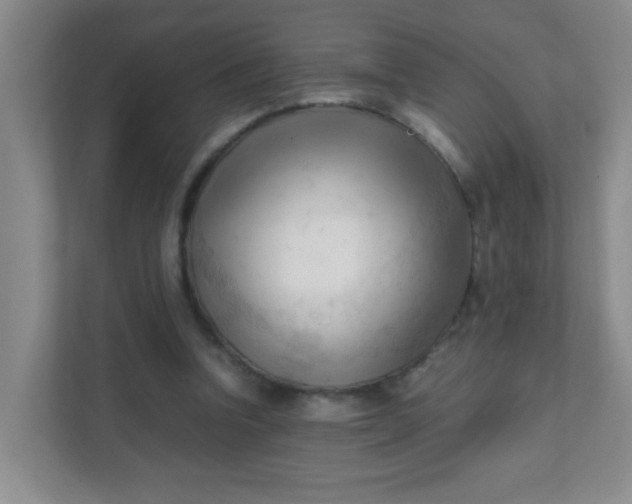X0000111600346200907301451