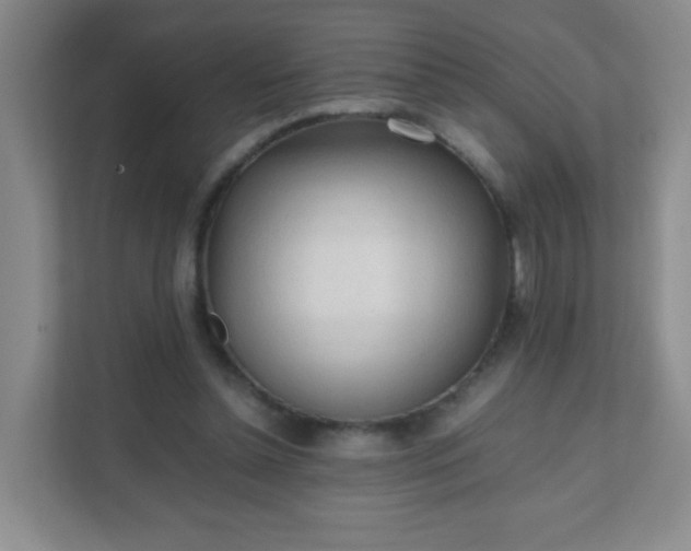 X0000111600348200907301451