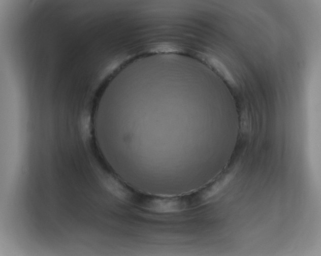 X0000111600351200907301451
