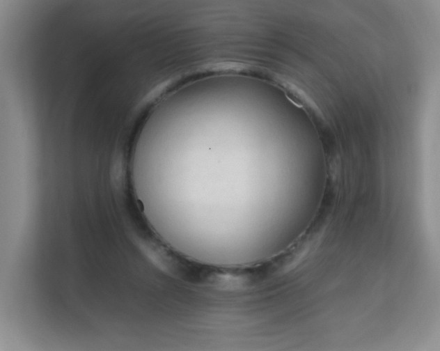 X0000111600352200907301451