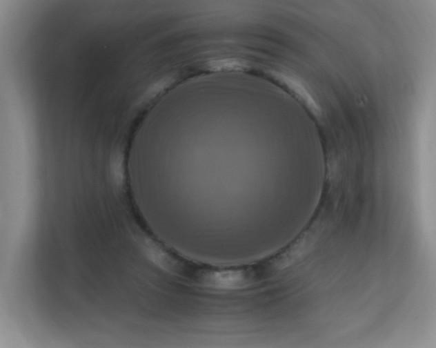 X0000111600353200907301451