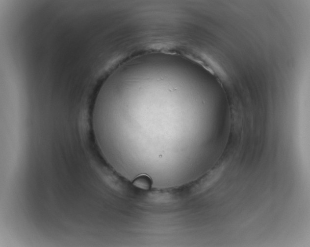 X0000111600354200907301451