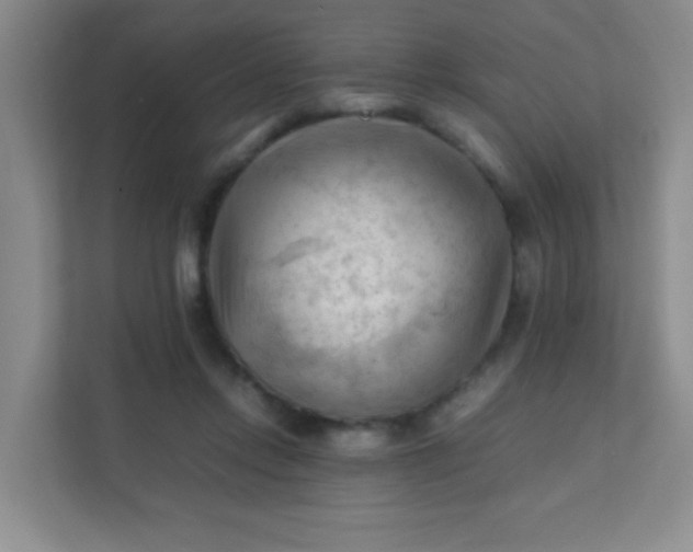 X0000111600358200907301451