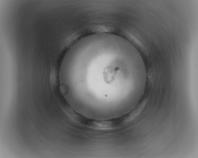 X0000111600359200907301451