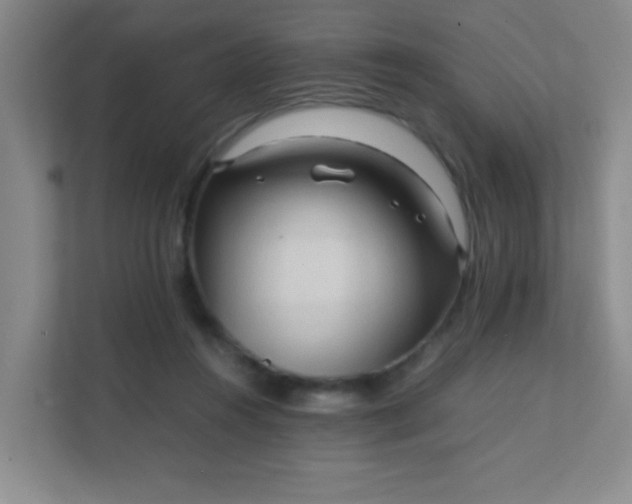 X0000111600360200907301451