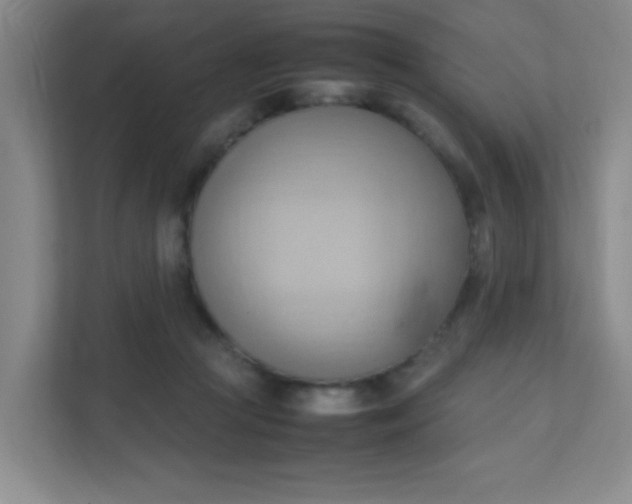 X0000111600361200907301451