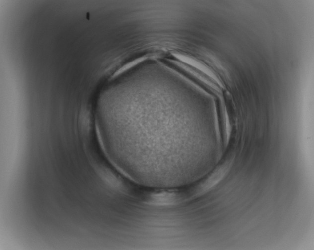 X0000111600362200907301451