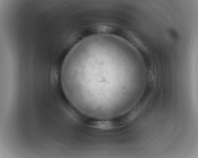 X0000111600363200907301451