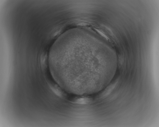 X0000111600364200907301451