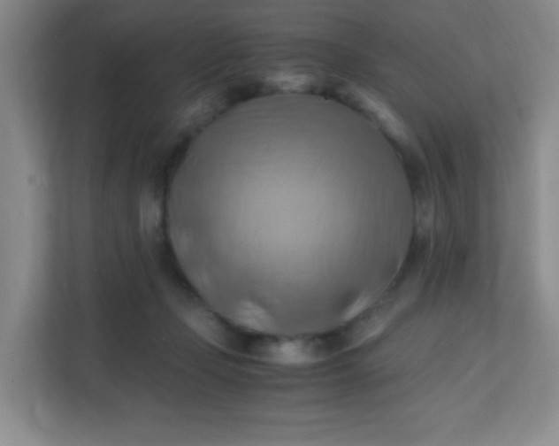 X0000111600365200907301451