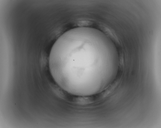 X0000111600367200907301451
