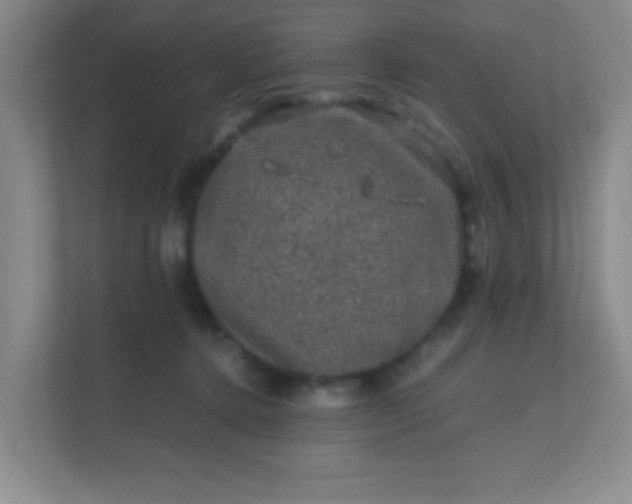 X0000111600368200907301451