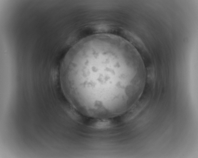 X0000111600369200907301451