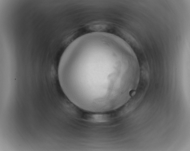 X0000111600371200907301451