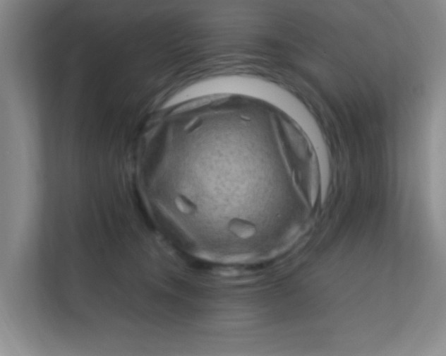 X0000111600372200907301451