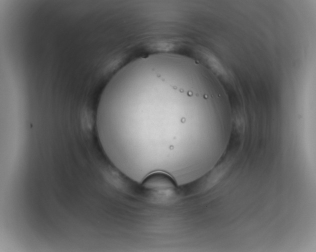 X0000111600374200907301451