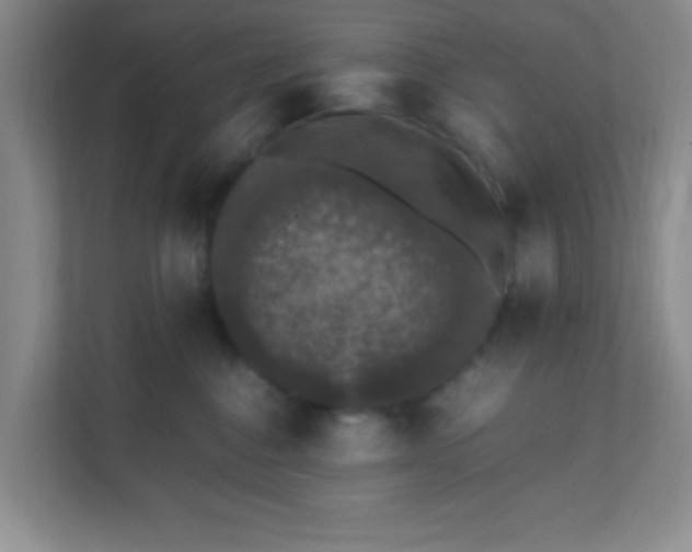 X0000111600376200907301451