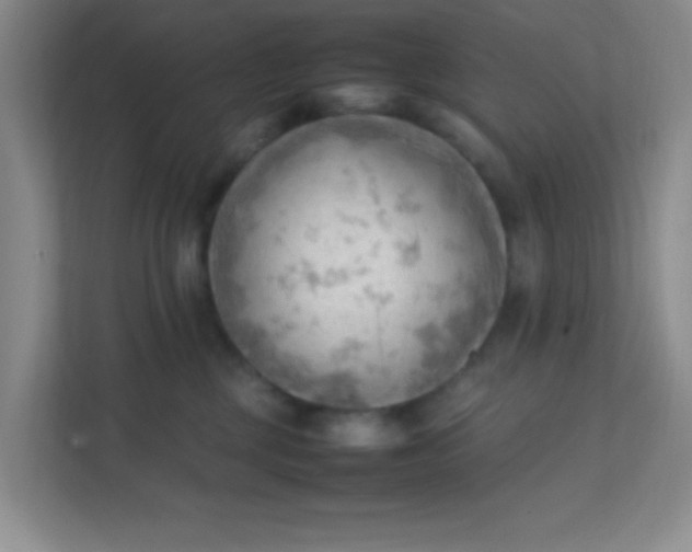X0000111600377200907301451