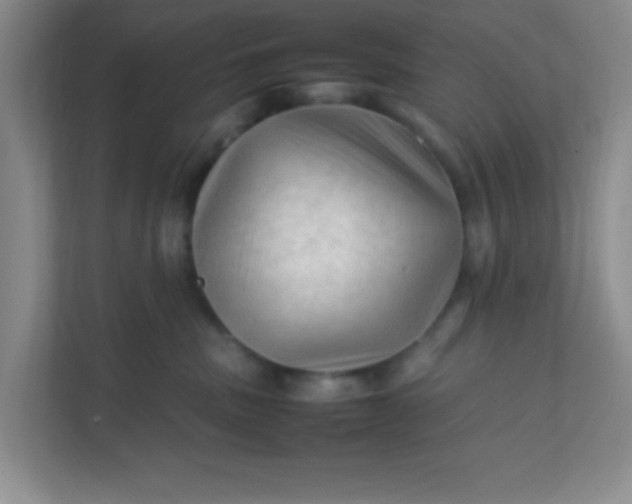 X0000111600379200907301451