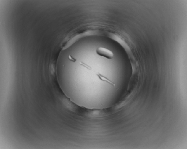 X0000111600382200907301451