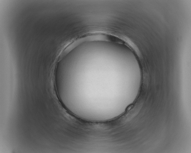X0000111600385200907301451