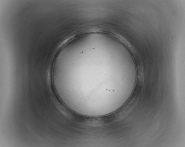 X0000111600386200907301451