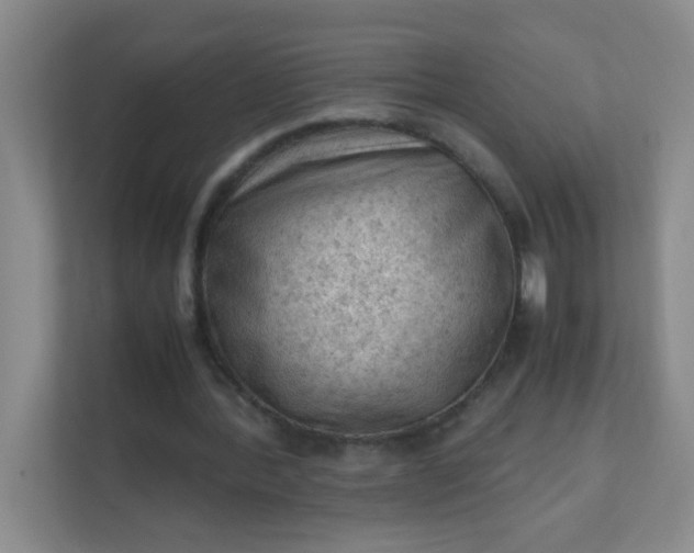 X0000111600388200907301451