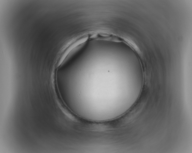 X0000111600389200907301451